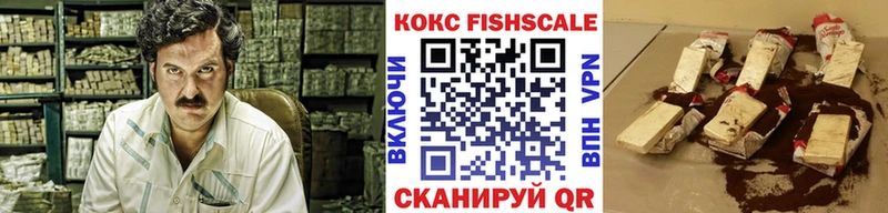 купить закладку Буйнакск блэк спрут COCAIN Fish Scale