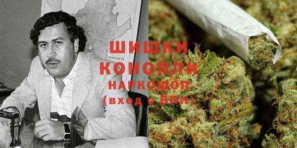 ешки Снежногорск