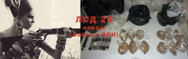 дживик Богданович