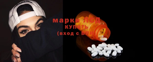 прущие грибы Бронницы