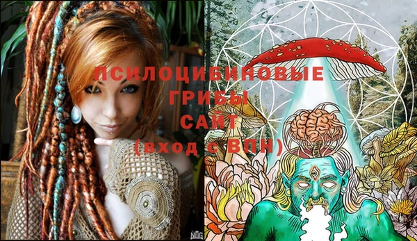 синтетический гашиш Богородск